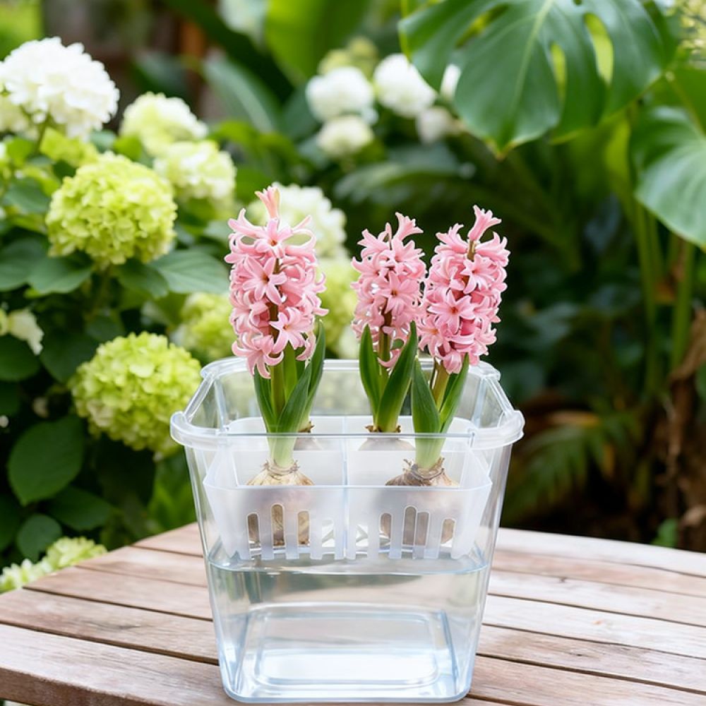 Hydroponic Vase For Tulip Lily - Vase Decor recension och pris