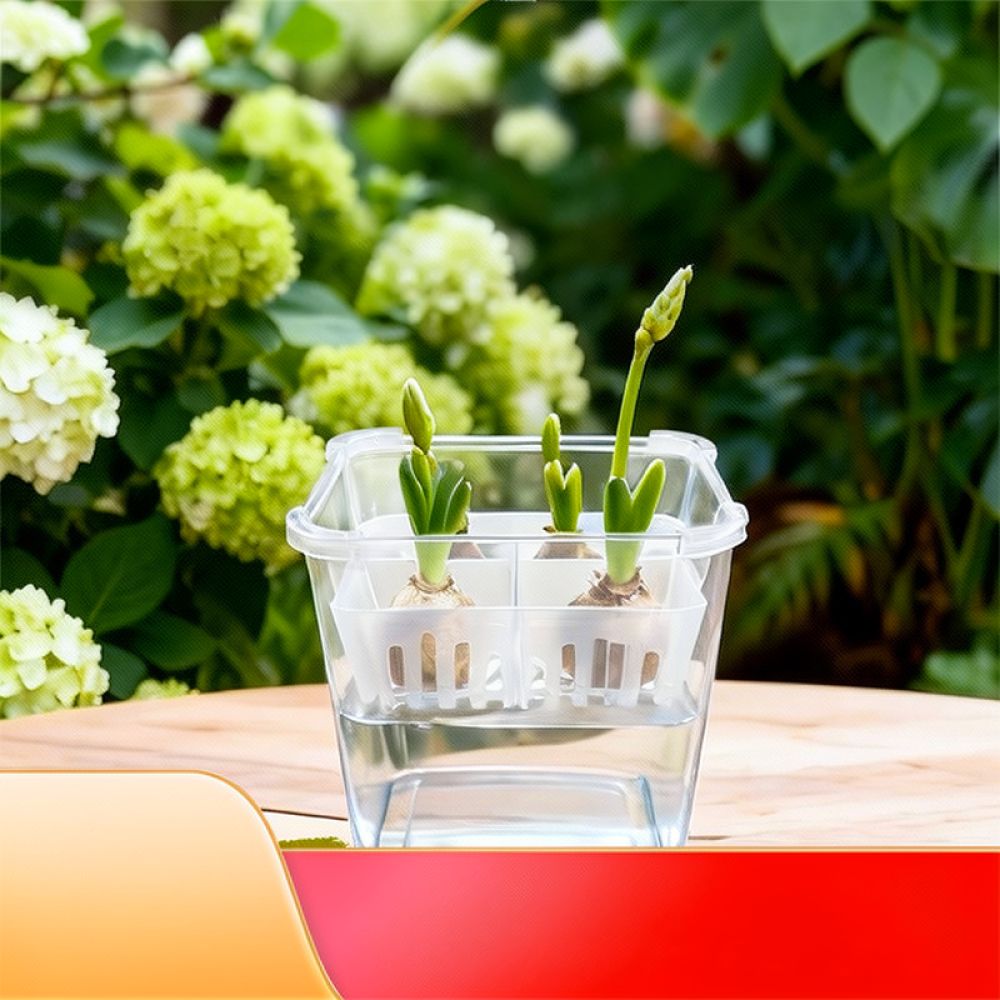 Hydroponic Vase For Tulip Lily - Vase Decor recension och pris
